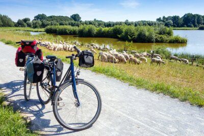 Tableau  Vélo avec des bagages et des moutons, EmsRadweg, piscine Steinhorster, Allemagne