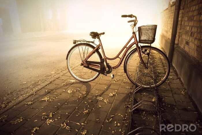 Tableau  Vélo en automne