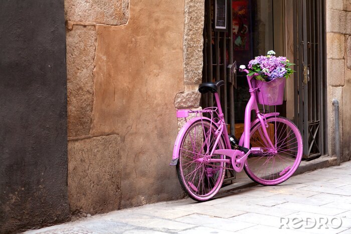 Tableau  vélo rose