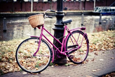 Tableau  Vélo rose Amsterdam