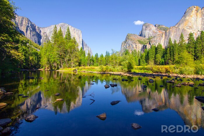 Tableau  Verdure des montagnes rocheuses et lac