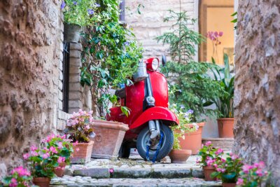 Vespa rossa