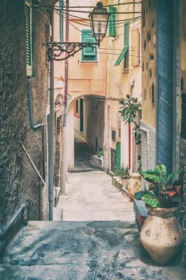 Tableau  Vieille rue à Riomaggiore, Cinque terre en Italie.