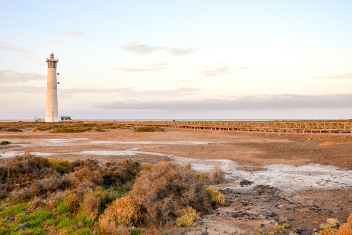 Tableau  Vieux, phare, mer