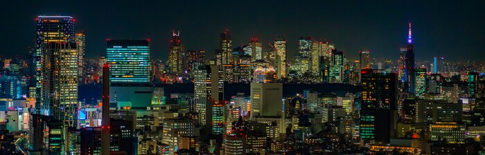 Tableau  Ville de Tokyo la nuit