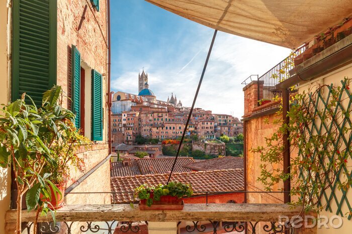 Tableau  Ville toscane de Sienne