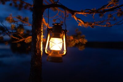 Tableau  Vintage oil lamp hanging on a tree. Beautiful view of dark forest and lake at night. Hiker, Travel, Outdoor Concept
