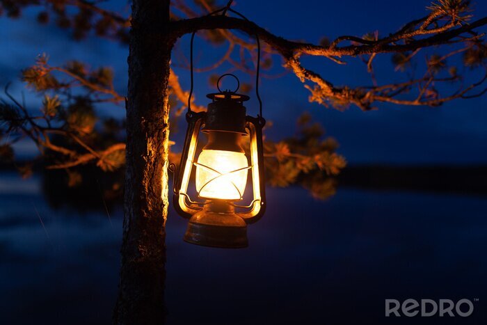 Tableau  Vintage oil lamp hanging on a tree. Beautiful view of dark forest and lake at night. Hiker, Travel, Outdoor Concept