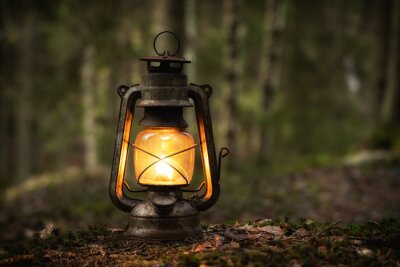 Tableau  Vintage old lantern lighting in the dark forest. Travel camping concept. Burning lantern on a moss at forest in the night.