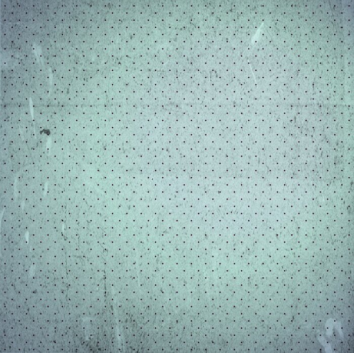 Tableau  Vintage scrap pois fond de papier