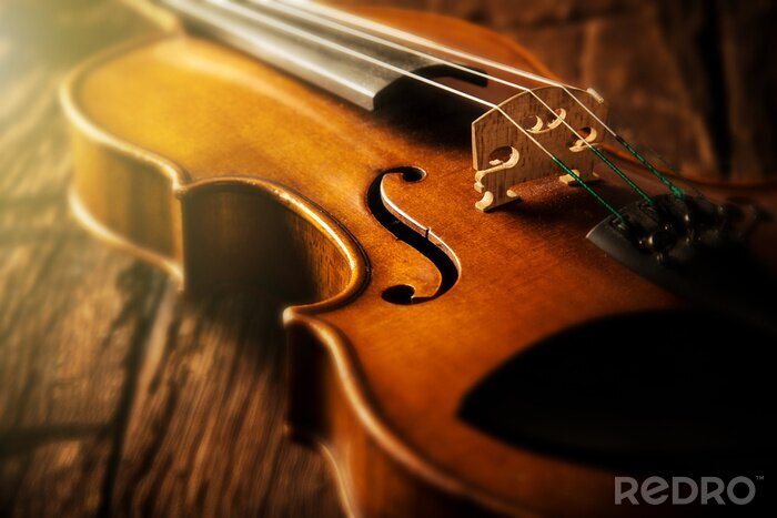 Tableau  violon dans le style vintage