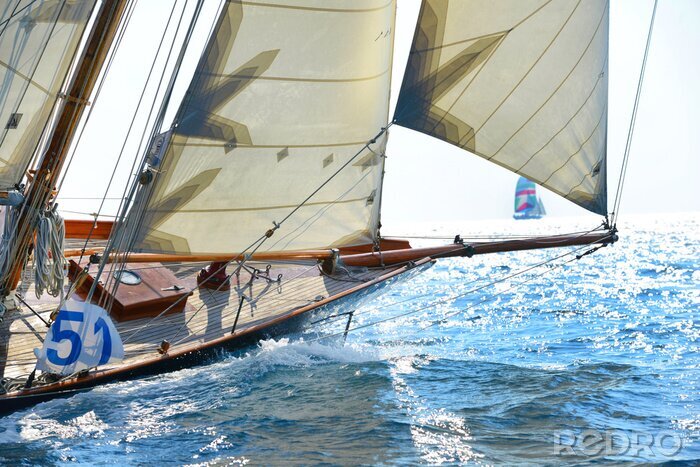 Tableau  Voilier avec des voiles blanches