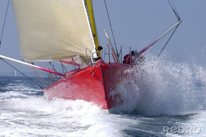 Tableau  Voilier sur la mer