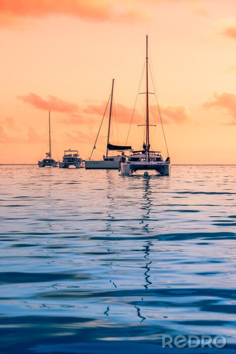 Tableau  Voiliers belle soirée