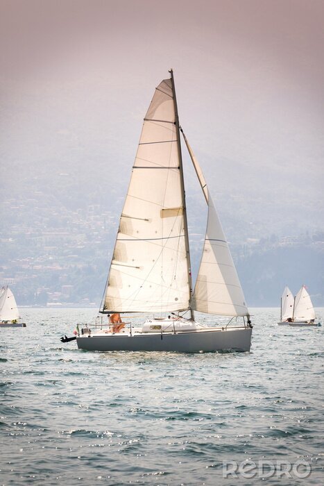 Tableau  Voiliers près d'une île