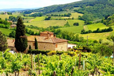 Voir à travers les vignobles avec maison en pierre, Toscane, Italie