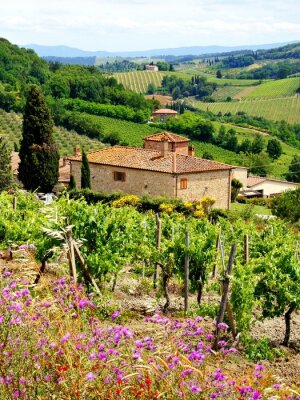 Tableau  Voir à travers les vignobles avec maison en pierre, Toscane, Italie