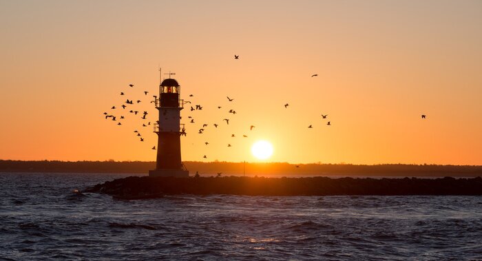 Tableau  Vol d'oiseaux près d'un phare