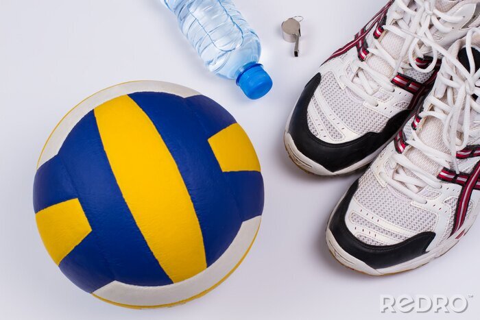 Tableau  Volleyball réglé.