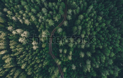 Tableau  Vue aérienne d'une route au milieu de la forêt