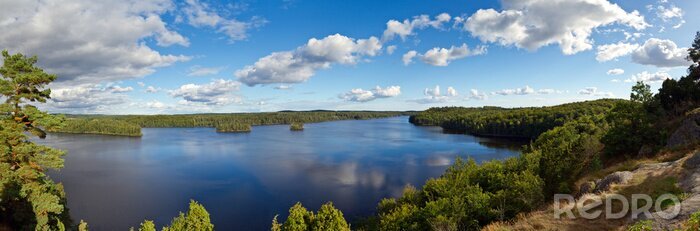 Tableau  Vue de la montagne par une journée d'été