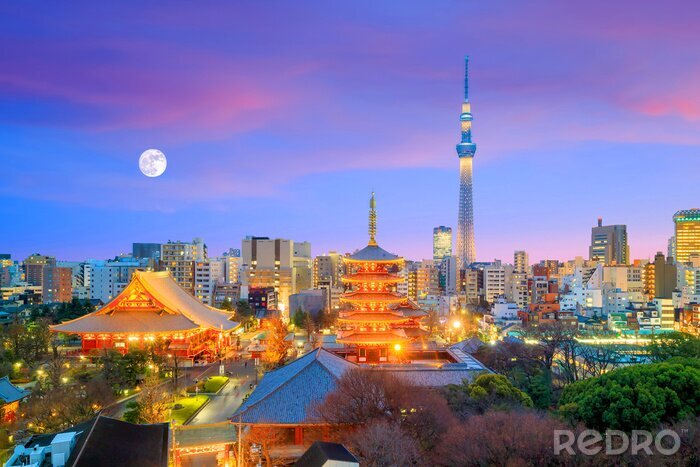 Tableau  Vue de Tokyo au crépuscule