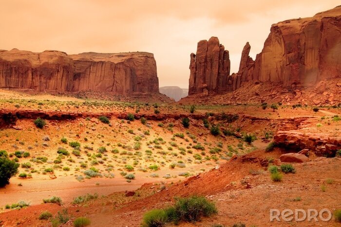 Tableau  Vue du Grand Canyon en 3D