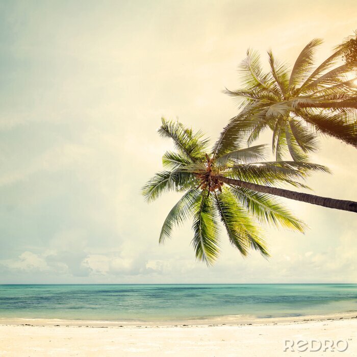 Tableau  Vue sur la mer et les palmiers