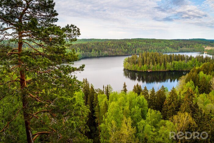 Tableau  Vue sur le lac en Finlande