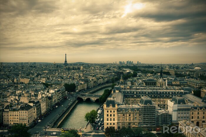 Tableau  Vue sur Paris skyline de Notre Dame de Paris