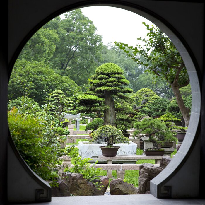 Tableau  Vue sur un magnifique jardin entretenu