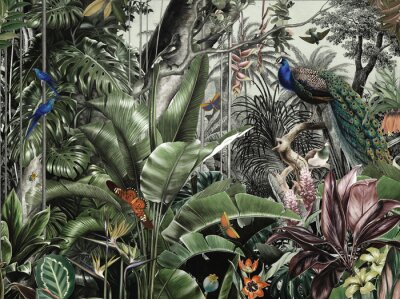 Tableau  wallpaper jungle and tropical forest flamngo and tropical birds, old drawing vintage peacock