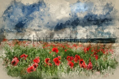 Tableau  Watercolor painting of Stunning poppy field landscape in Summer sunset light