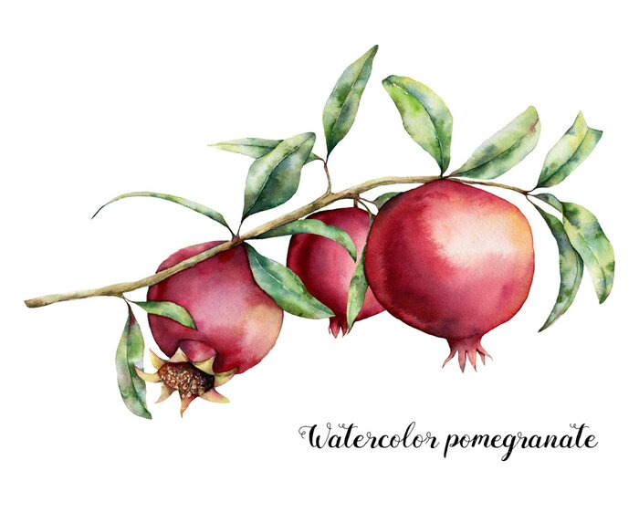 Tableau  Watercolor pomegranate card. Hand painted garnet fruit on branch with leaves isolated on white background. Floral elegant illustration for design, print.