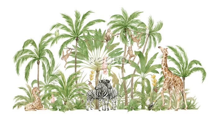 Tableau  Watercolor safari animals and tropical palms. Jungle compositions. Giraffe, zebra, monkey, parrot. Brigth summer exotic jungle. 