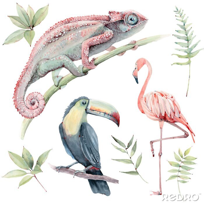 Tableau  watercolor tropical animals set.
