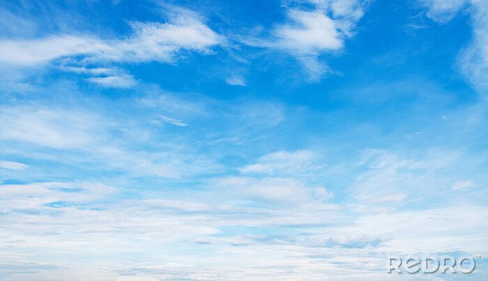 Tableau  white cloud with blue sky background