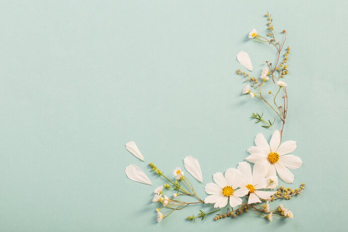 Tableau  white flowers on paper background
