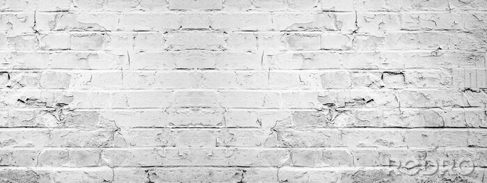 Tableau  White gray light damaged rustic brick wall texture banner panorama