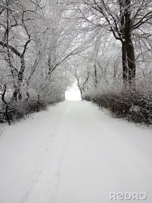 Tableau  winter vilage road
