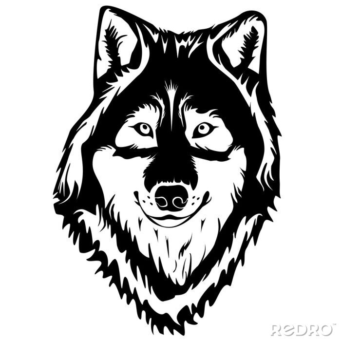 Tableau  WOLF VISAGE TATOUAGE BLANC