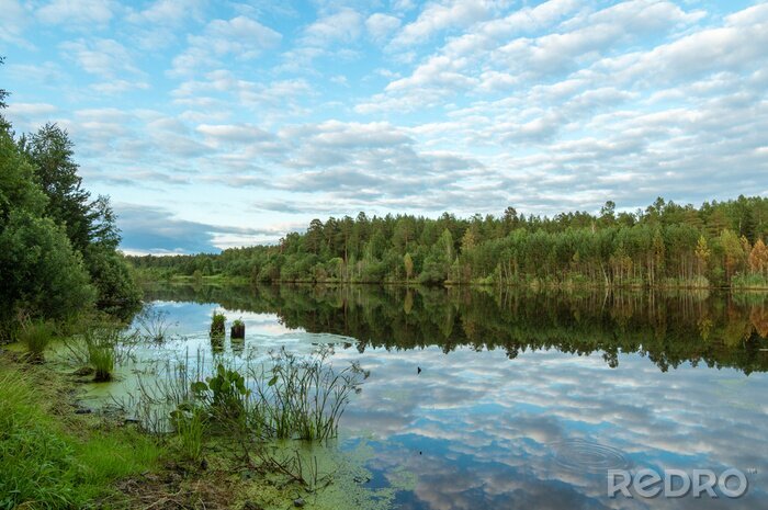 Tableau  летний пейзаж с озером и отражением леса в воде, Россия, Урал