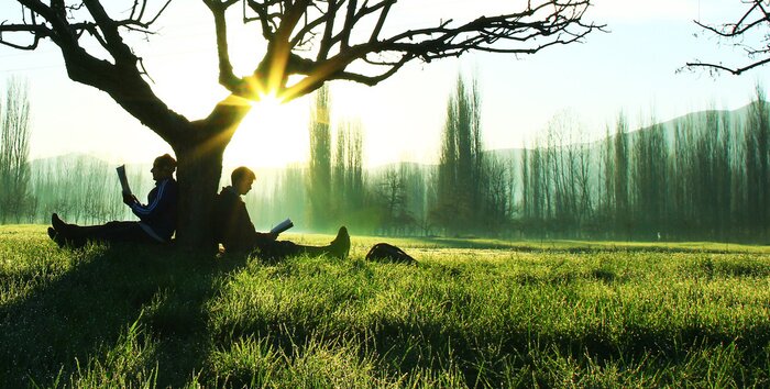 Tableau  Ağaç Altinda Kitap okumak