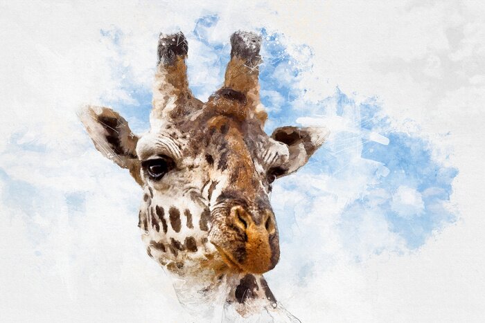 Tableau  Girafe dans les nuages ​​blancs