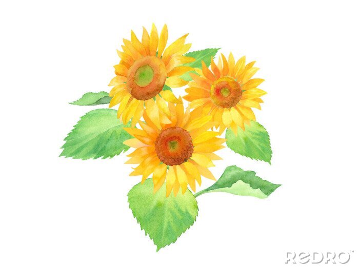 Tableau 夏の花 ひまわりの水彩イラストのトレースベクター Sur Mesure Redro Fr
